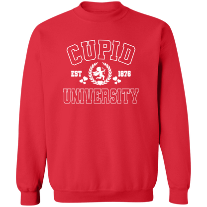 Cupid University Shirt/Sweater