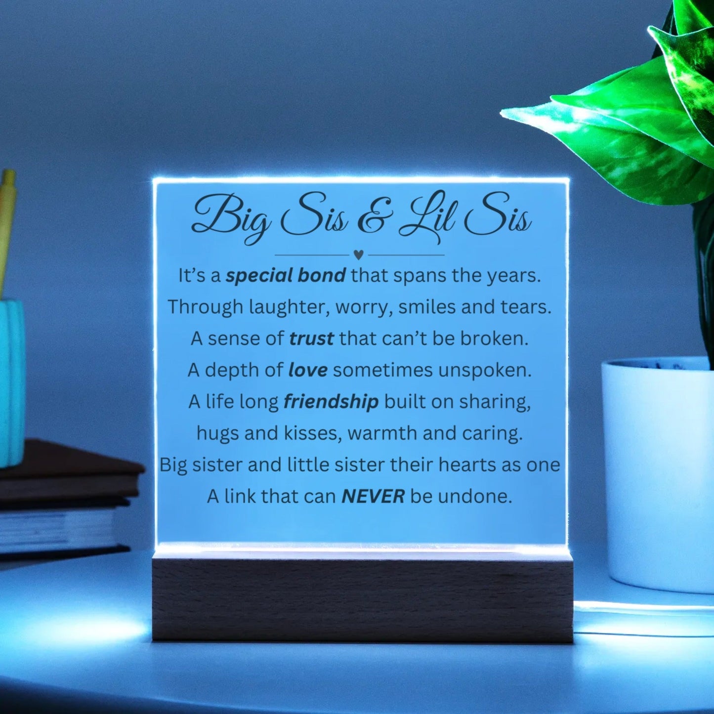 Big Sis & Lil Sis LED Acrylic Square Plaque